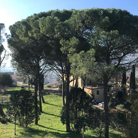 Villa Maria Collepepe Экстерьер фото